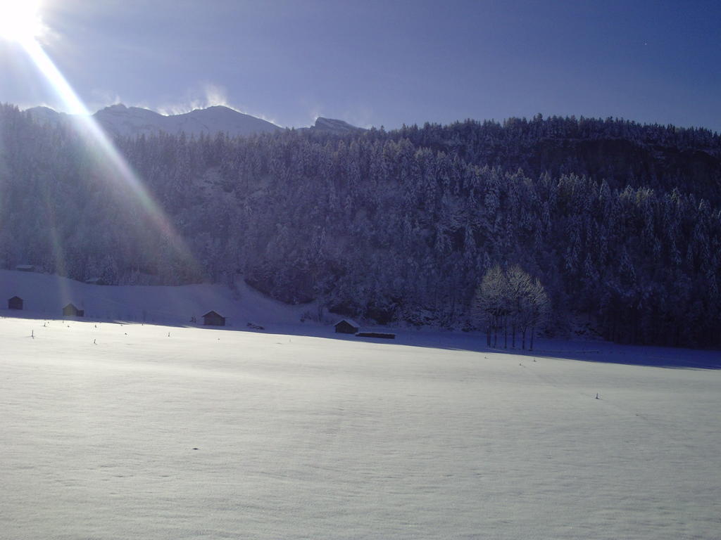 Gaestehaus Graf Bezau Exteriör bild