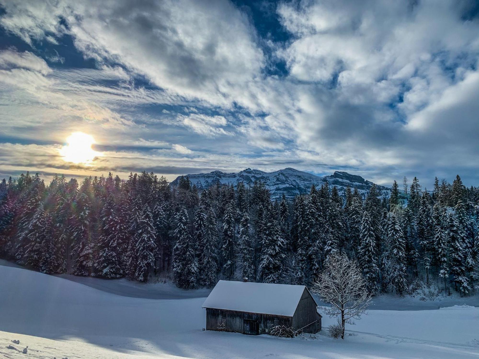 Gaestehaus Graf Lägenhet Bezau Exteriör bild